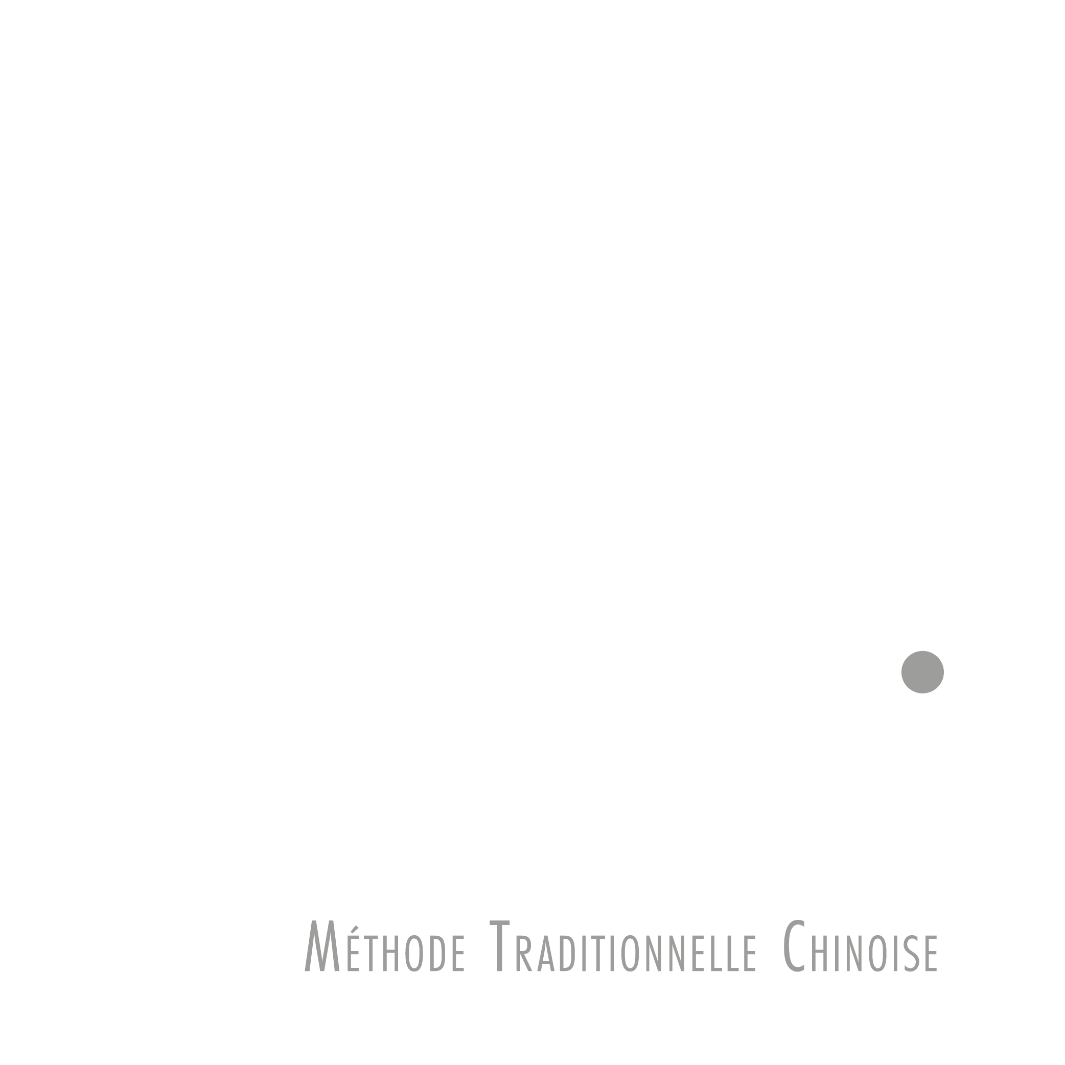 Hirondelle Yanzi MTC